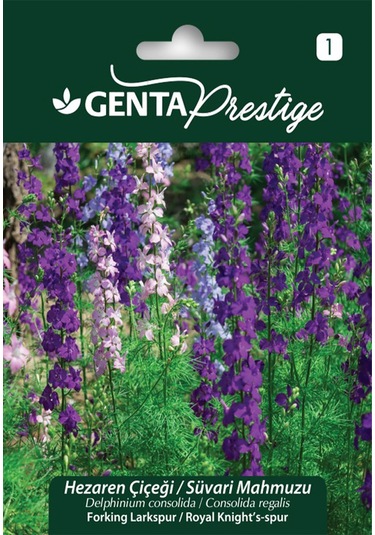 Genta - Süvari Mahmuzu Varie Hazeran Çiçeği Forking Larkspur Tohumu