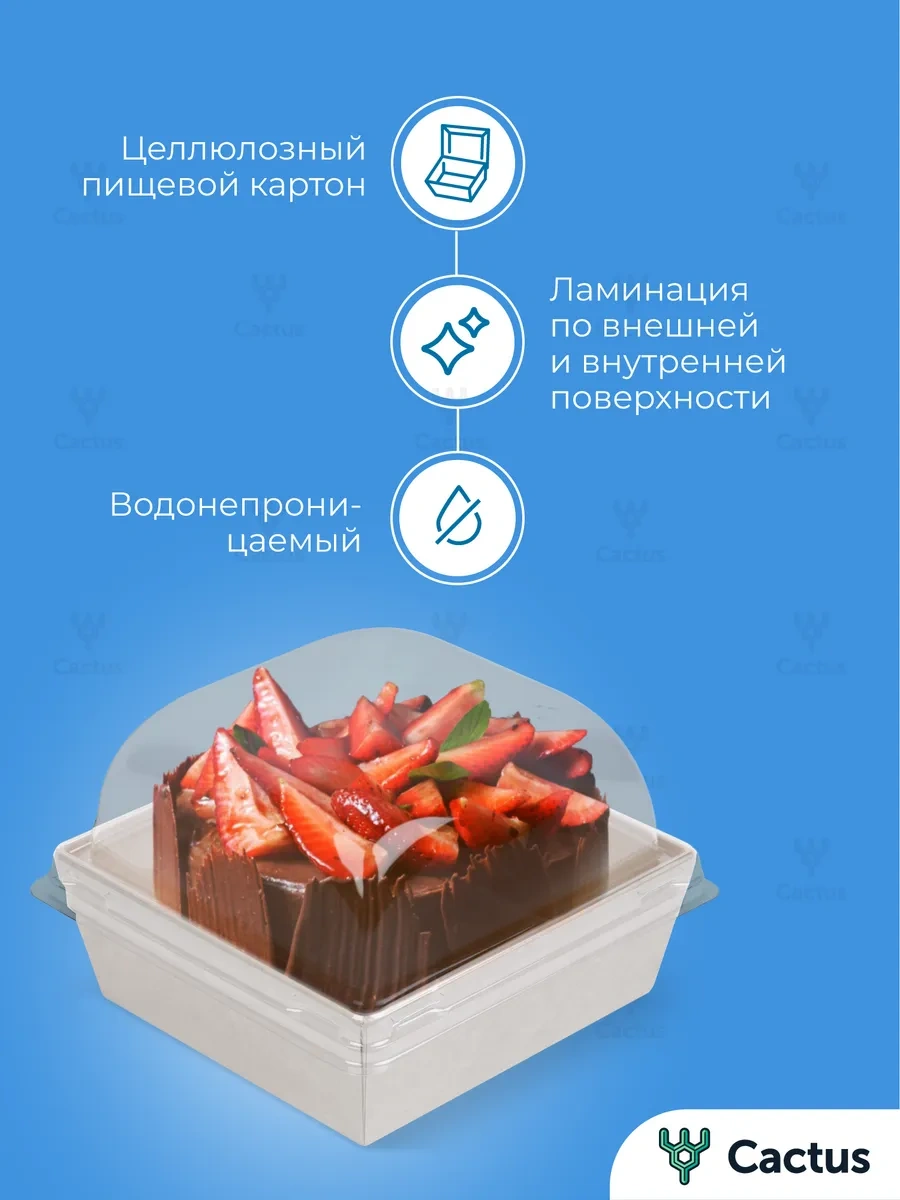 Cactus Bento Kutu 900 Ml 14 Cm Pasta Kutusu 296721028 100 adet