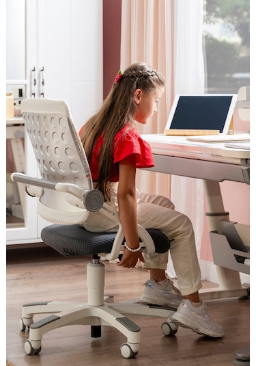 Creo Mobili Yükseklik Ve Sırt Ayarlı Sirius Çalışma Sandalyesi Ofis Ve Bilgisayar Koltuğu Mavi/mavi Gri Creo Mobili Yükseklik Ve Sırt Ayarlı Sirius Çalışma Sandalyesi Ofis Ve Bilgisayar Koltuğu Mavi/mavi Gri