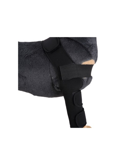 Homyl Köpek Diz Eklemi Desteği Ön Bacak Sıkıştırma Brace Koruyucu