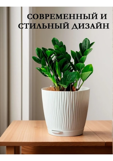 Saburg 3 Litrelik Tablalı Otomatik Sulama Sistemli Saksı Seti 386465069