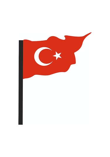 Türk Bayrağı Peugeot Logo Sticker