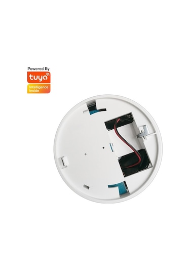 Ebitda Tuya Wifi Duman Dedektörü: Akıllı Uyarı, Ses Kontrolü, Kolay Kurulum Ve Uzaktan Alarm