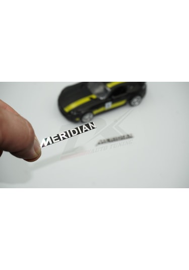 Meridian Logo Hoparlör Krom Metal 3M Logo Amblem 2 Li Set N11.2801