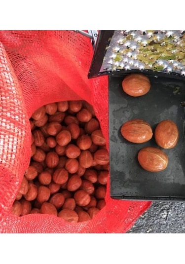 Muratti Yaş Ceviz Kabuk Soyma Makinası 80lt