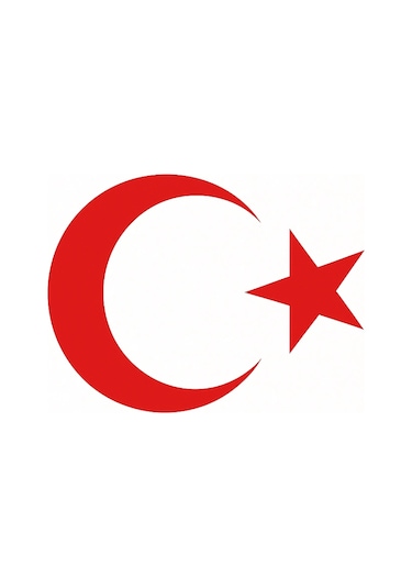 Türk Bayrağı Oto Sticker Kırmızı 23x17 Cm