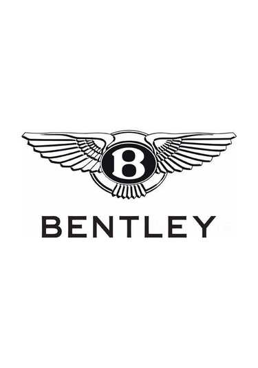 Yifomall Haval, Lexus, Mitsubishi İçin Özel Tasarlanmış Deri Araba Anahtarı Kılıfı - Bambu Desenli,宾利ahşap Desenli Siyah Deri Kılıf Diğer