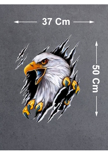 Kartal Vahşi Pençe Beşiktaş Karakartal Sticker - Araba Oto Motosiklet Sticker - 00045 50x37 Cm