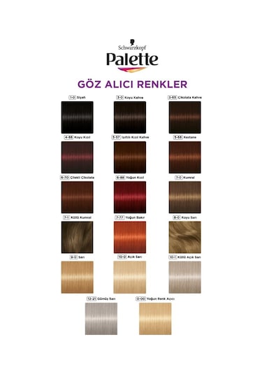 Palette Göz Alıcı Renkler 5 - 68 Kestane X 2 Adet