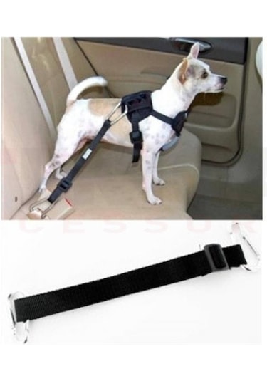 Araç İçinde Köpek Bağlama Kemeri Siyah
