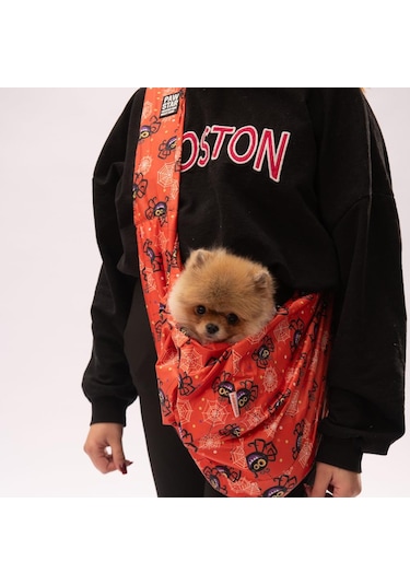 Spider Halloween Crossbody Çanta Kedi Köpek Taşıma Çantası