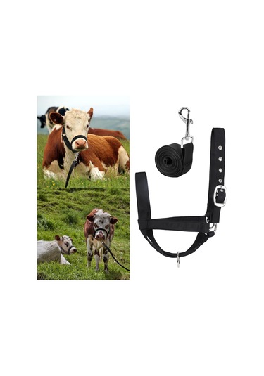 Homyl Bull Bridle Head Harness Supply Naylon İnek Yular M Siyah