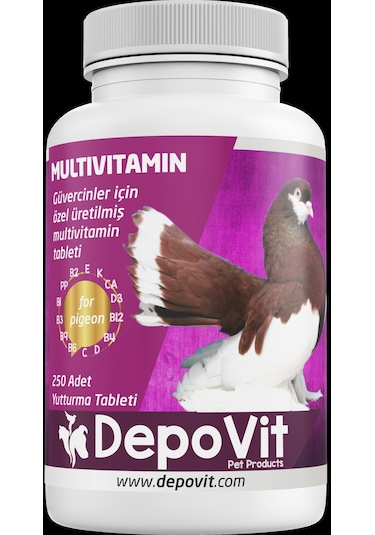 Multivitamin Tableti 250 Adet