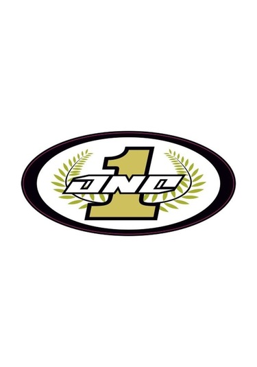 125 X 60 Mm Sticker 10'lu Çok Renkli