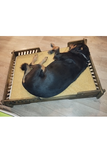 Pet Dizayn Bilboa Büyük Köpek Yatağı 2XL