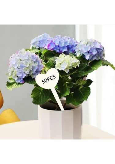 Trendooze Homyl 50 Adet Bitki Kalp Şekil Saksı Etli Ekici Adı Etiketleri