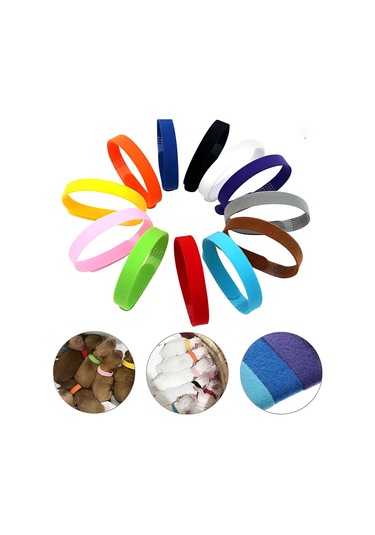 Homyl 12 Adet Tanımlama Köpek Tasmaları Ayarlanabilir Kimlik Açık Mor