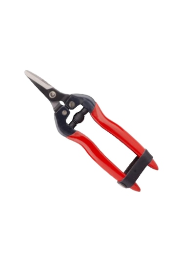 Palmera Sp16c Meyve Toplama Makası