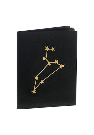 Aslan Burcu Yıldız Haritası Siyah Defter