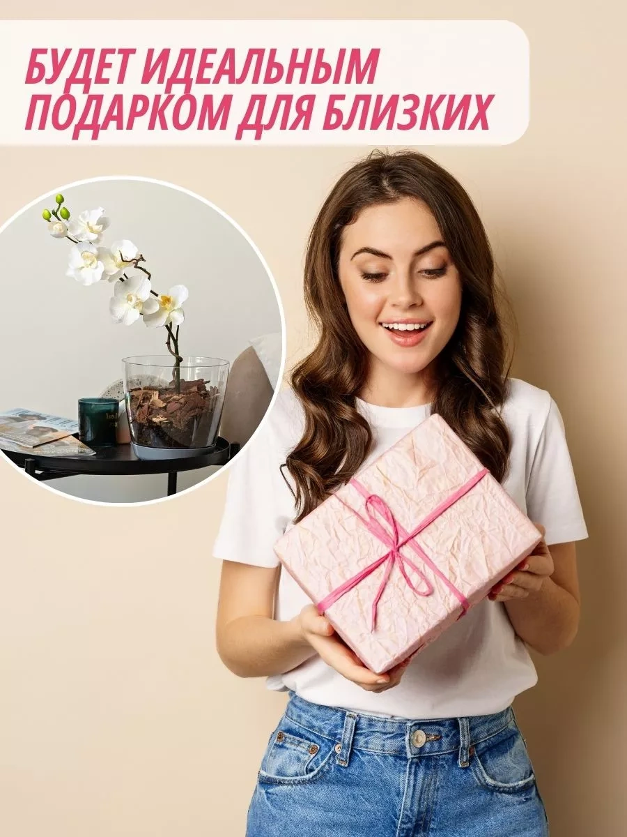 Elly Home Orkide İçin Büyük Şeffaf Saksı 171430256