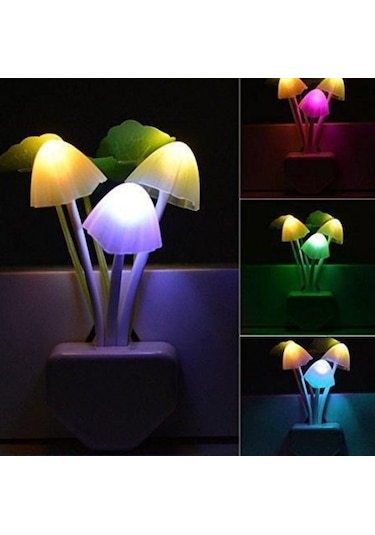 Petrix Çiçekli Dekoratif Rgb Sensörlü Gece Lambası Çok Renkli