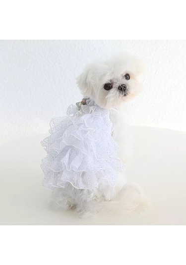 Best Golden Monkey Smok Beyaz Köpek Elbisesi 191666110