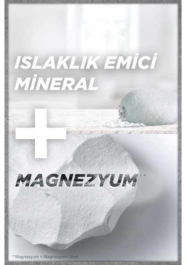 Garnier Men Magnezyum Ultra Kuru Erkek Roll-On 50 ML