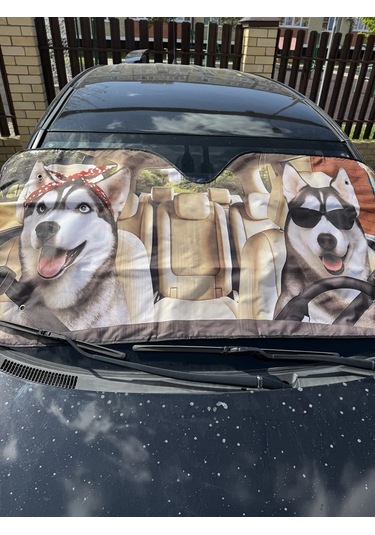 D.kovalev 140 X 70 Cm Ön Cam Güneşliği 249485092