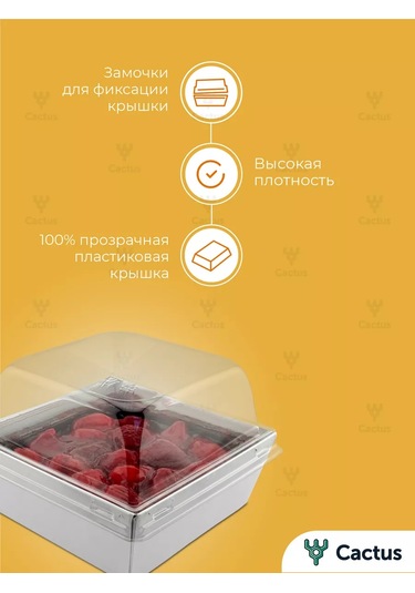 Cactus Bento Kutusu, Kek Kutusu 10 Cm, 10 Adet 254505675 100 adet