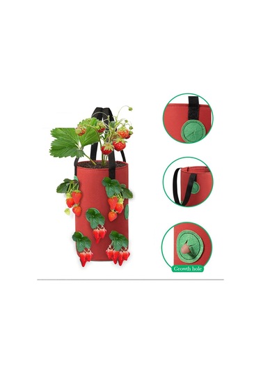 3 Galon Topsy Turvy Domates Ekici, 12 Delikli Asma Çilek Ekici, Nefes Alabilen Çilek Kumaş Sebzeler İçin Çantalar Yetiştirin 3 Paket