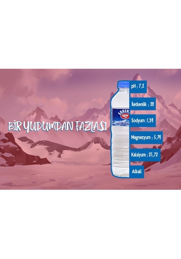 Erkenek Işık Su Doğal Kaynak Suyu 12 Li Ph 7.2