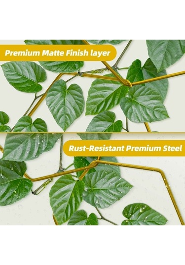 Ebitda 18 Adet Metal Bitki Destek Kafes Tırmanma Tesisleri, Duvar Kancaları İle Bahçe Dekorasyonu