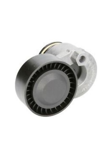 ALTERNATÖR GERGİ RULMANI CLIO II-KANGOO-MEGANE II-MODUS/GRAND MOD