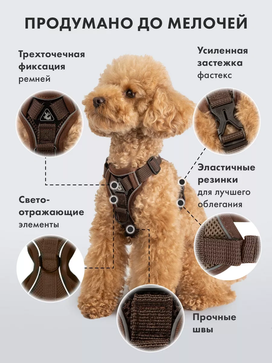 Purrfect Place Köpekler Ve Kedi İçin Tasma Şeritli Tasma 253725673