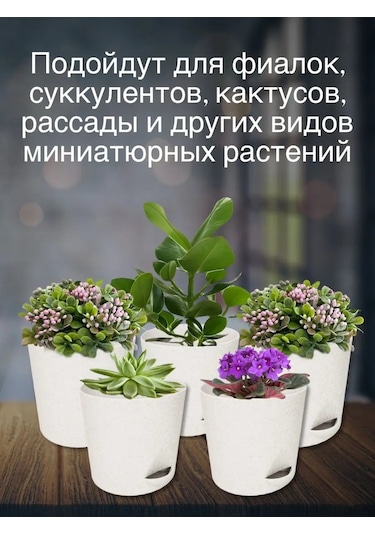 Interm Kaktüs, Menekşe, Çiçekler İçin Mini Saksı Ve Fide Kasesi 94877527