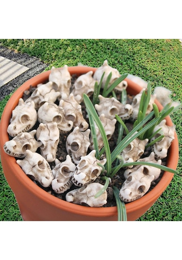 Suntek 20 Adet Ejderha Kemik Oyun Seti Heykel Vazo Dolgu 2.3cmx1.5cm