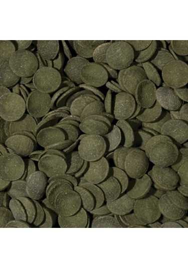 Tropical Green Algae Wafers 100 Gram Balık Yemi
