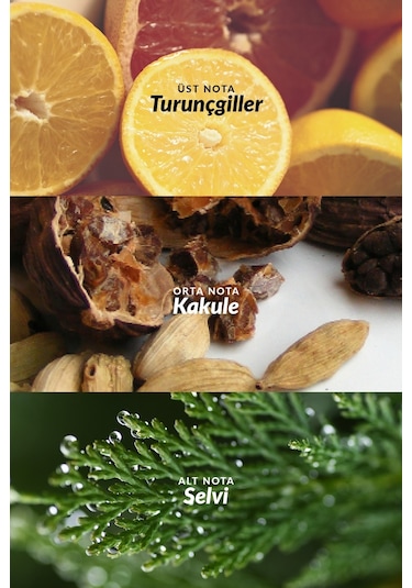 Avon Full Speed Erkek Parfüm EDT 75 ML