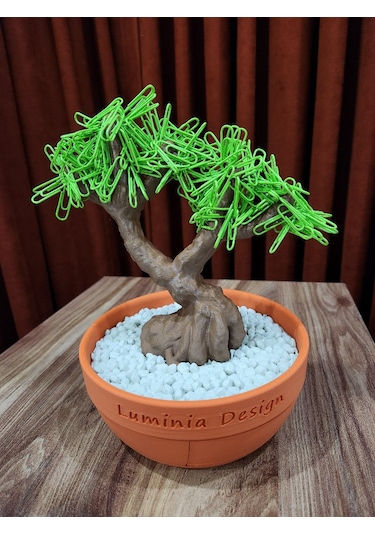 Bonsai Ağacı Organizer