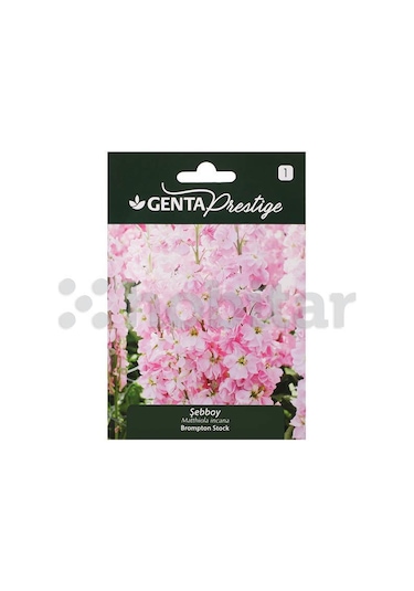 Çiçek Tohumu Şebboy Genta Prestige