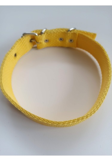 Kozaklı Orta Irk Köpek Tasması Sarı 60 x 3 CM