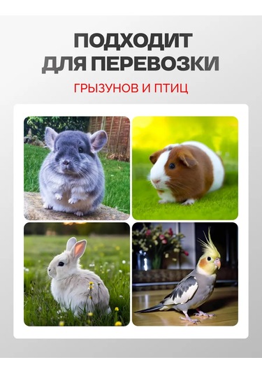 Loorı Kemirgenler, Kuşlar Ve Fareler İçin Taşıma Kafesi 31x20x22 138693991