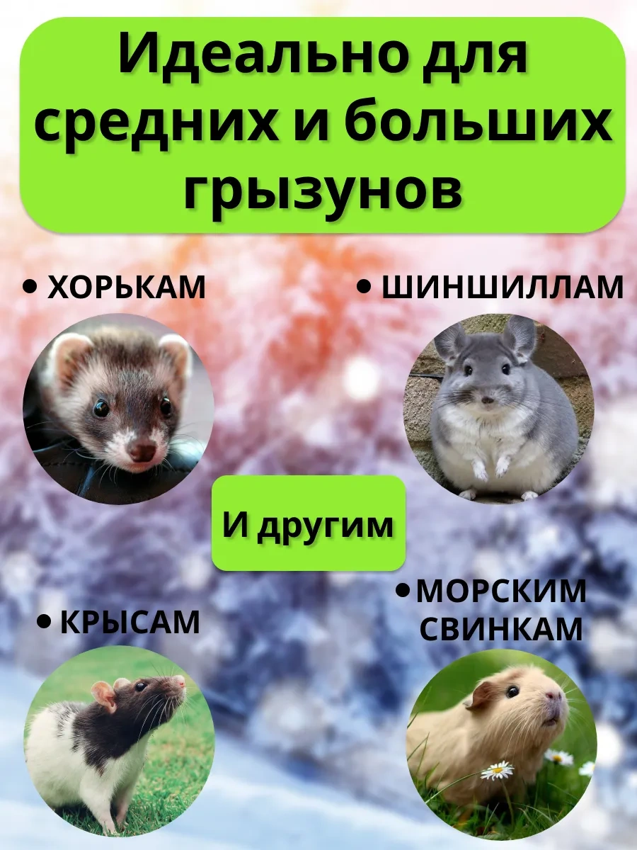 Petipet Kemirgenler Ve Sıçanlar İçin Çift Katlı Kafesli Hamak 178354950