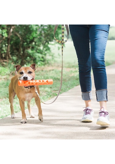 Chuckit Air Fetch Stick Köpek Oyuncağı Küçük Boy 18 CM