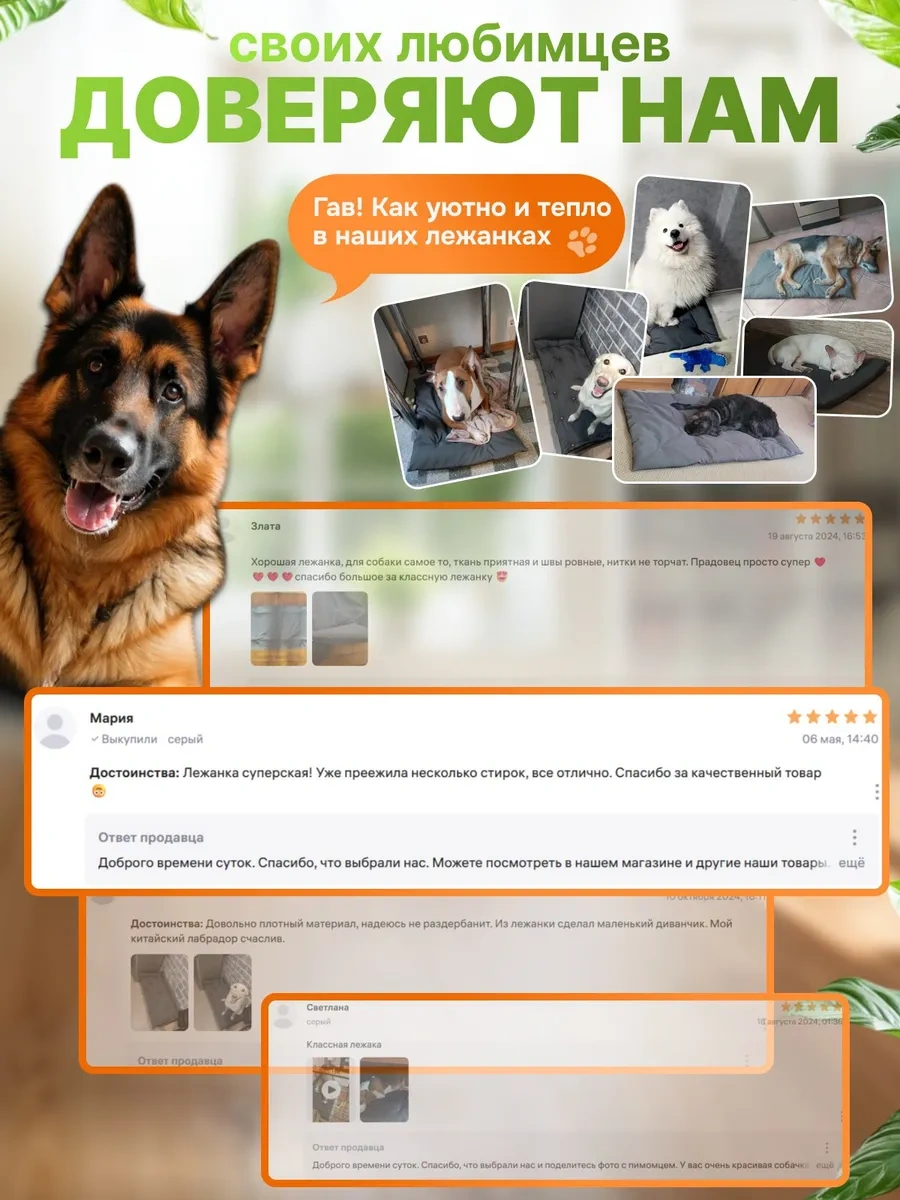 Gurenkot Köpek Yatağı 250338476