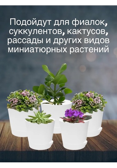 Interm Küçük Kaktüs Saksısı, Tabaklı, Saksı Seti 0,4 L 362274406