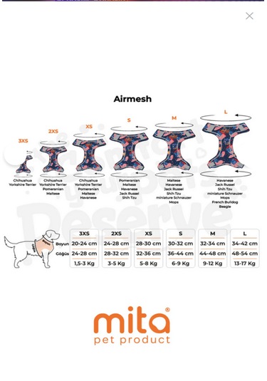 Mita 12 Lı Set Air Mesh L Gögüs Tasması Dizayn Dizayn