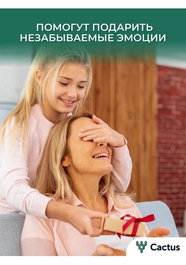 Cactus Pencereli Kraf Kutu Tek Kullanımlık Kapaklı Kutular 138246368 100 adet