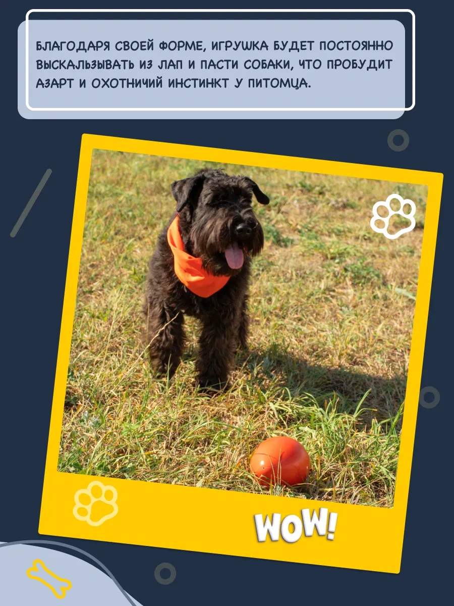 Fancy Pets Köpekler İçin Oyuncak Yakalanması Zor Yumurtka 460778956