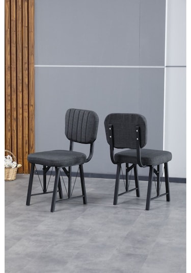 Hayat Serisi Mutfak Sandalyesi, Yemek, Bahçe, Kafe, Modern Sandalye 2 Adet - Antrasit Antrasit